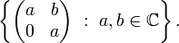 \left\{
\begin{pmatrix}
a&b\\ 0 & a
\end{pmatrix}
\ :\ a,b\in\mathbb{C}\right\}.