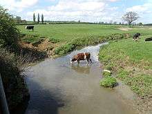 The Eye brook is a shallow stream here, some 4 metres wide. The picture shows it passing through pasture dotted with cows, one of which is standing in the water drinking.