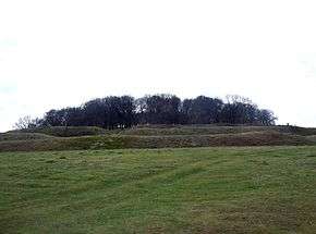 Northern ramparts of Badbury Rings