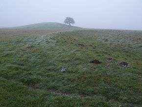 Misty view of Bush Barrow
