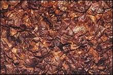 Retrieved from Hong Kong Art Archive