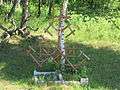 Hill of Crosses in Rundēni 18.jpg