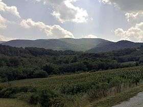 A valley, mountain and forests photographed from the side of a road.