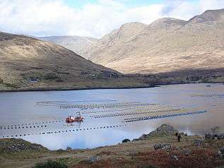 A salmon farm in Ireland.
