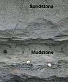 Sandstone mudstone.jpg