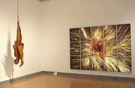 Sensation Young British Artists from the Saatchi Collection at the Brooklyn Museum 5.jpg