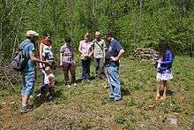 Some persons observe a protected plant