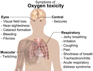 A diagraph showing a man torso and listing symptoms of oxygen toxicity: Eyes – visual field loss, near)sightedness, cataract formation, bleeding, fibrosis; Head – seizures; Muscles – twitching; Respiratory system – jerky breathing, irritation, coughing, pain, shortness of breath, tracheobronchitis, acute respiratory distress syndrome.